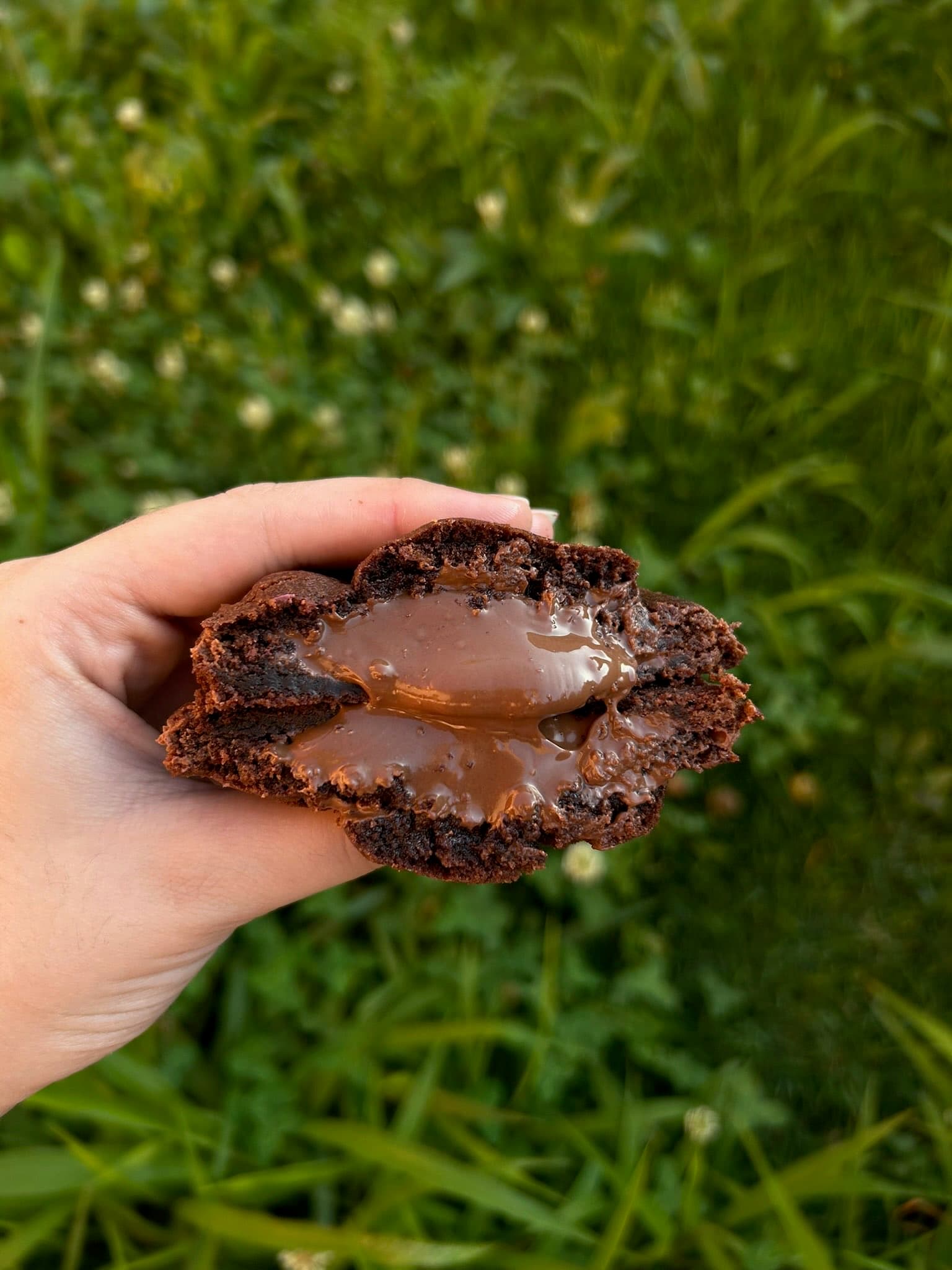 Chocotella